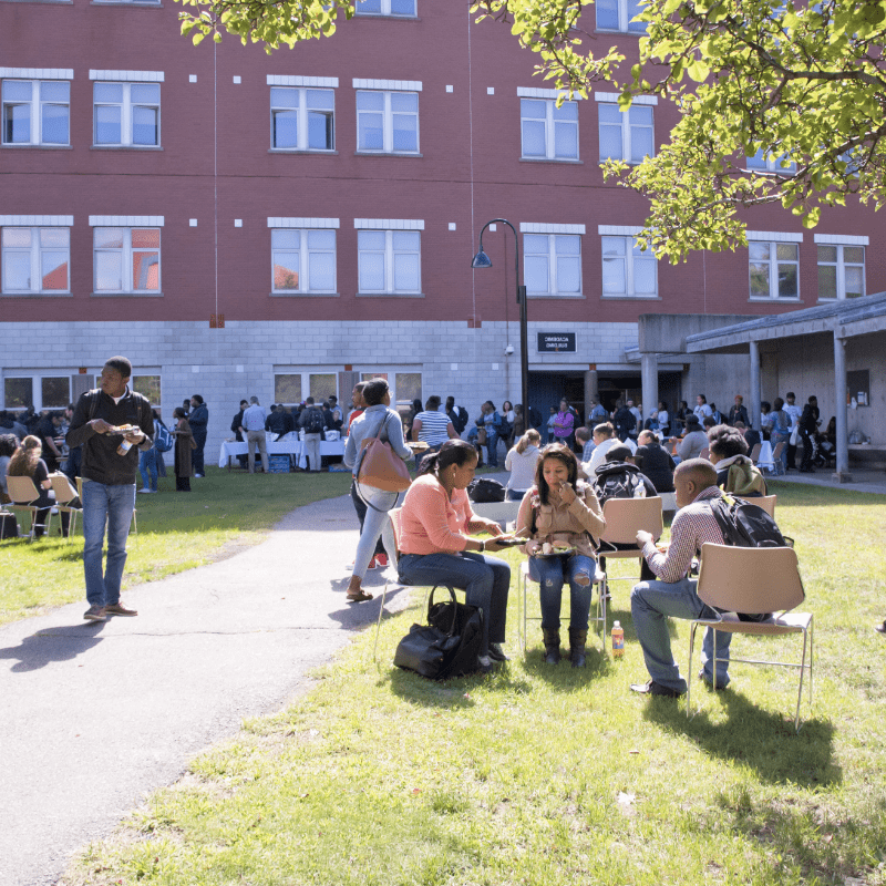 Students eating on the RCC lawn